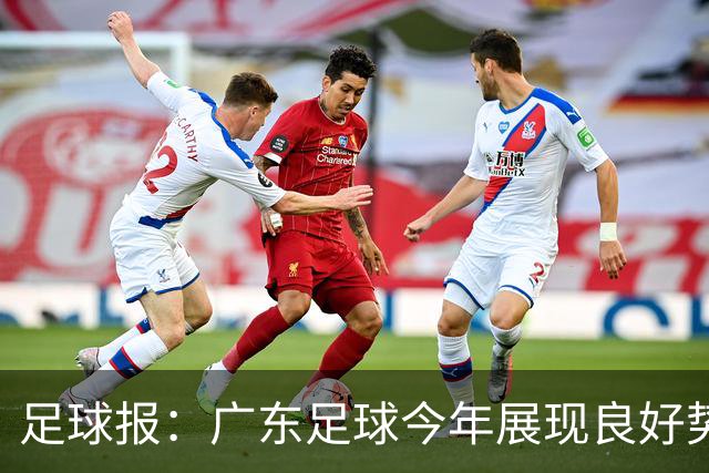 足球报：广东足球今年展现良好势头，广州豹、深圳青年人全力冲超